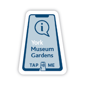 Sticky’s Collaboration with York Museum Gardens: A Case Study in Digital Innovation